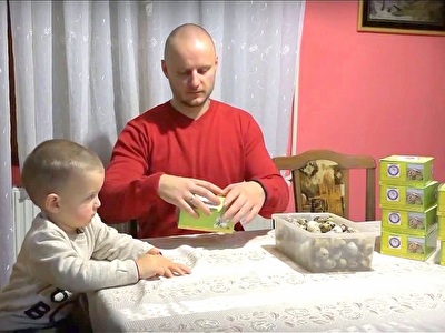 Farma japanskih prepelica nešić