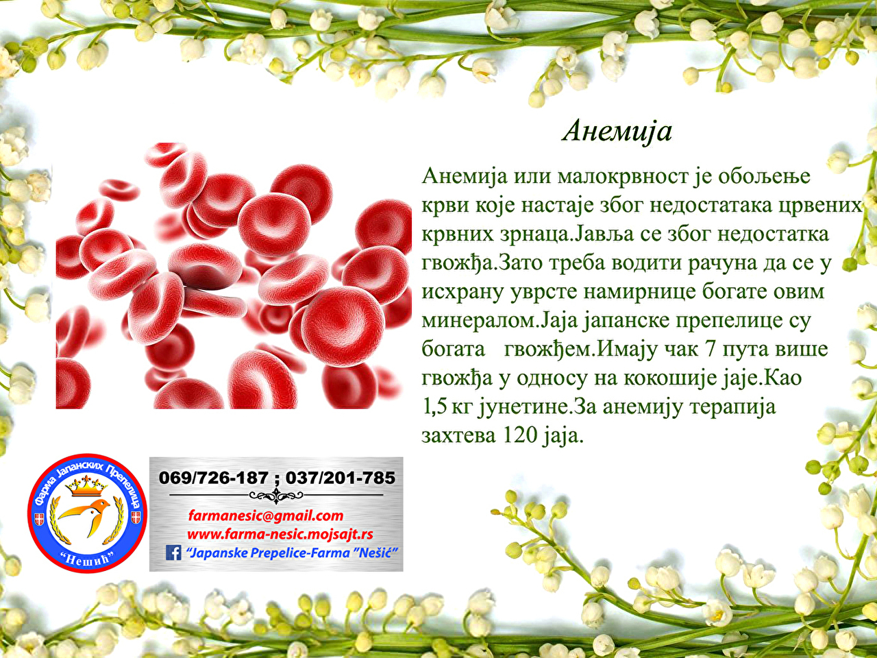 Anemija (malokrvnost)