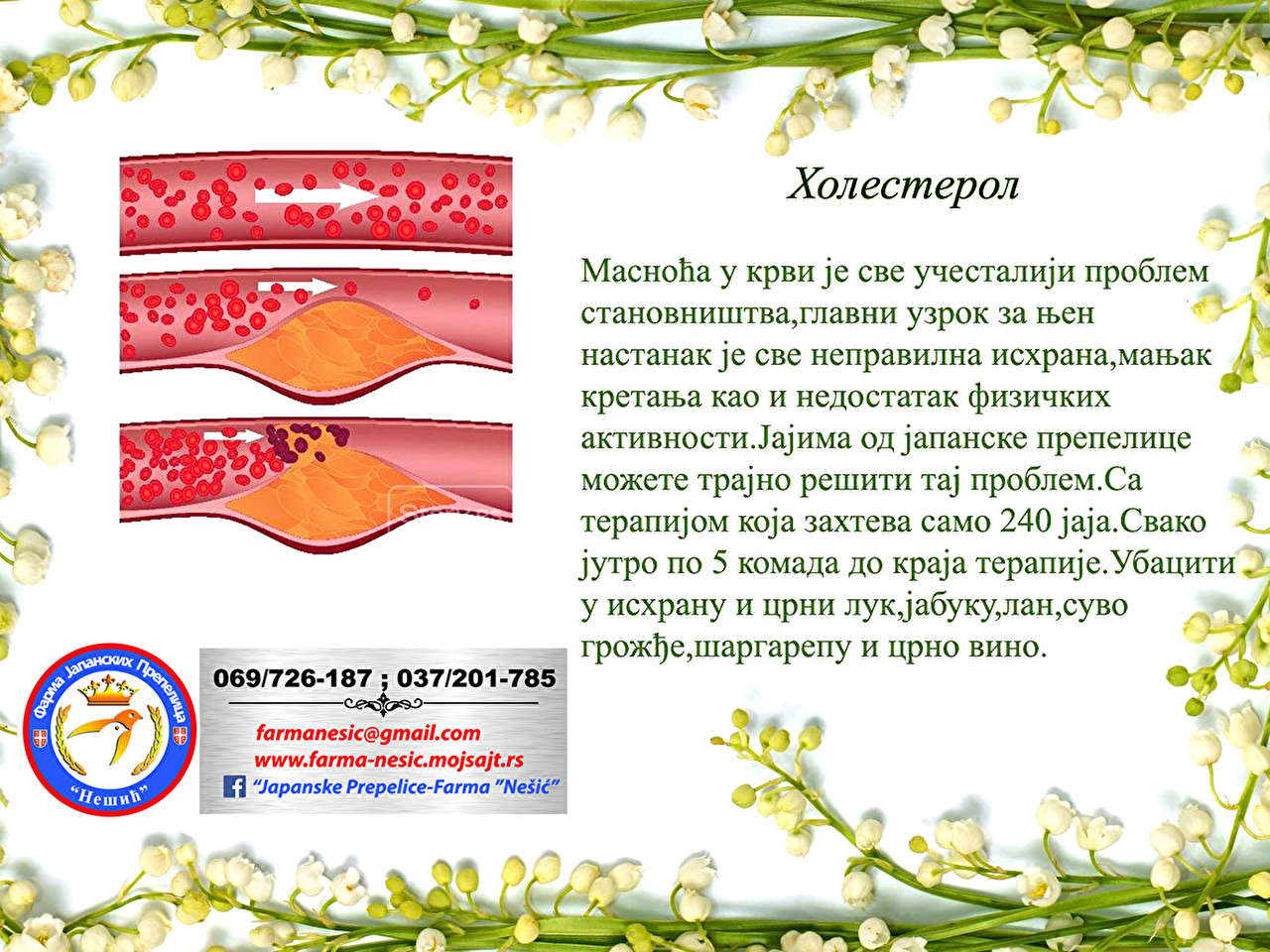 Holesterol (masnoća u krvi) 
